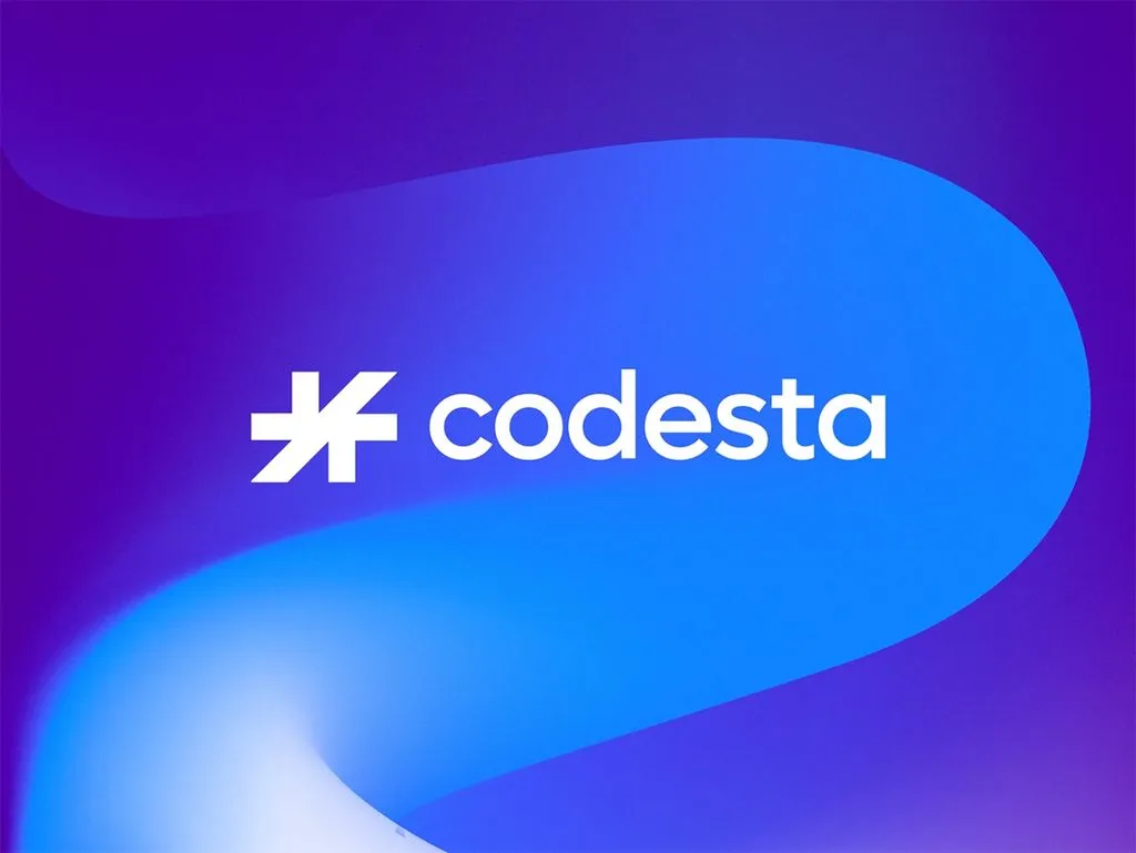 Professional Logo Design Dallas - Codesta