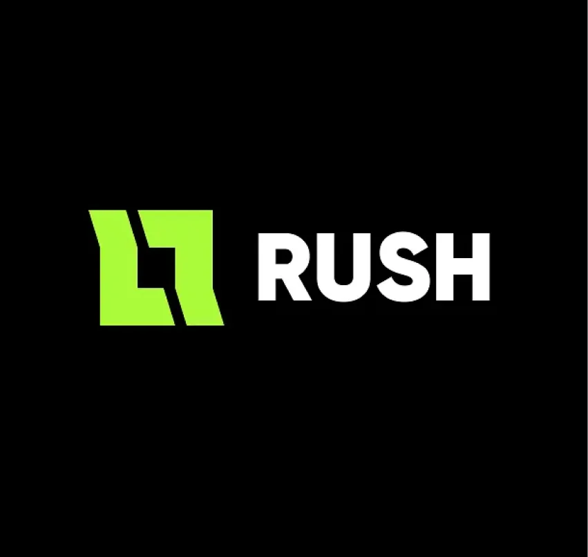 professional logo design services - RUSH