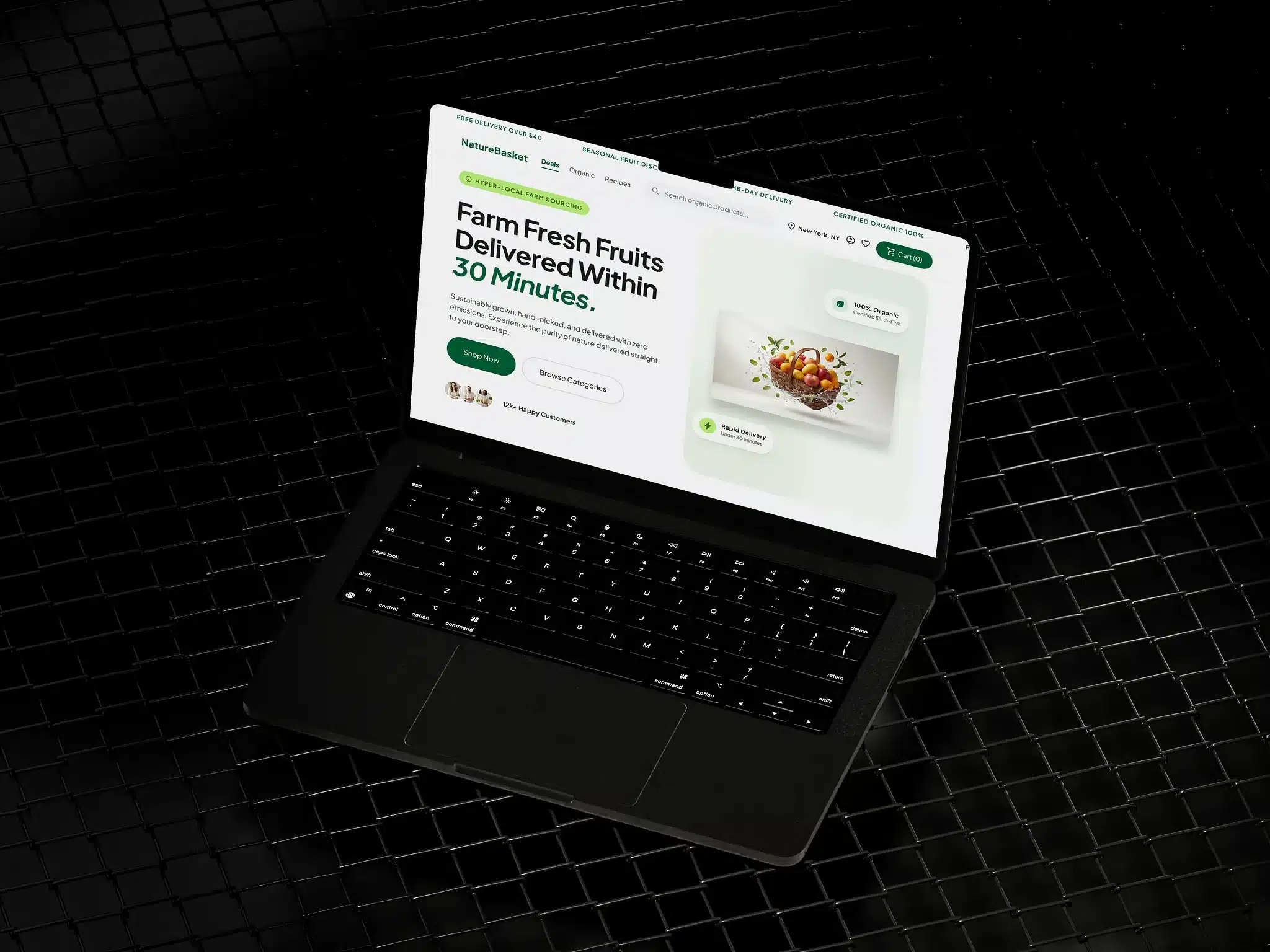 Website Design